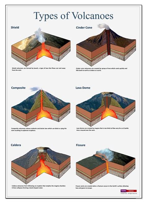 Types of Volcanoes • Earth Sciences • Science Poster • Classroom poster • Digital Download ...