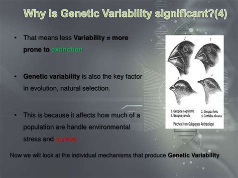 4 Genetics - How variability is produced in a population