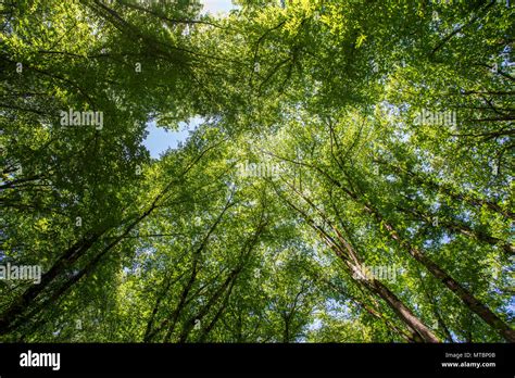 Azerbaijan Nature. Beautiful places Stock Photo - Alamy