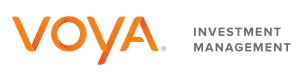 Voya Investment Management Review - MagnifyMoney