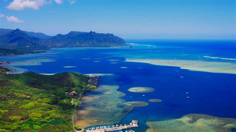 The Kaneohe Sandbar Tours - Snorkeling、SUP // CAPTAIN BRUCE Hawaii