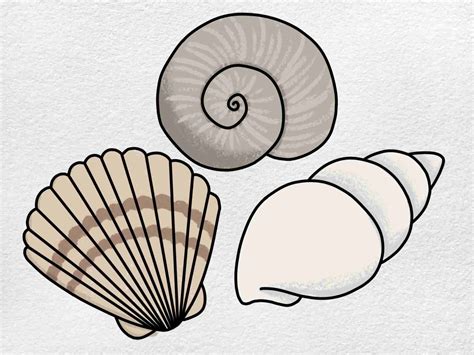 How To Draw A Shell