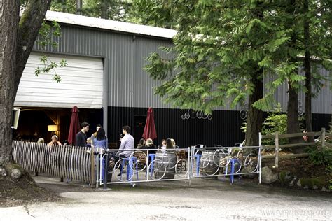 Bainbridge Island Wineries: Unique Wines in the Puget Sound