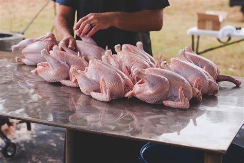 Raising Meat Chickens - The Little Modern Farm