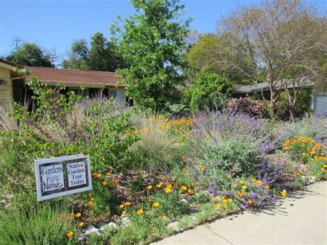 Gardens Gone Native: A Native Plant Garden Tour in the Sacramento Valley