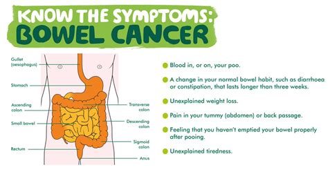 What are the Symptoms of Bowel Cancer and where to get help