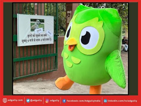 Duo, the iconic mascot of Duolingo, spotted correcting signboards on ...