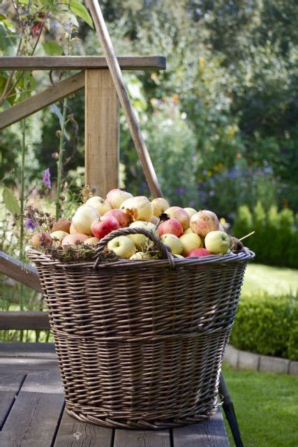 175 best A Basket Full of Apples images on Pinterest | Apple orchard ...