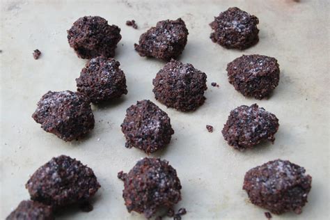 Basic Pemmican Recipe | Bryont Blog