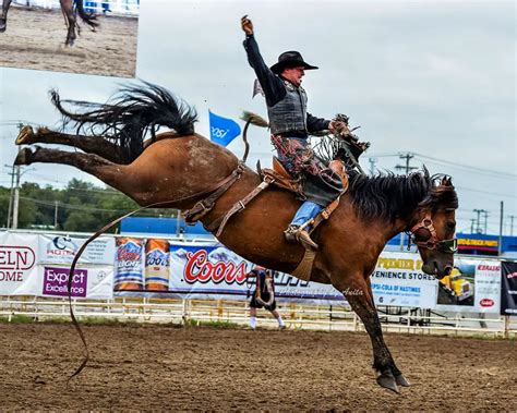 What is a Bronco Horse? Learn All About This Unique Riding Style