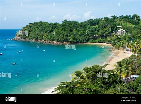 The beach at Castara Bay in Tobago, Trinidad and Tobago, West Indies, Caribbean Stock Photo - Alamy