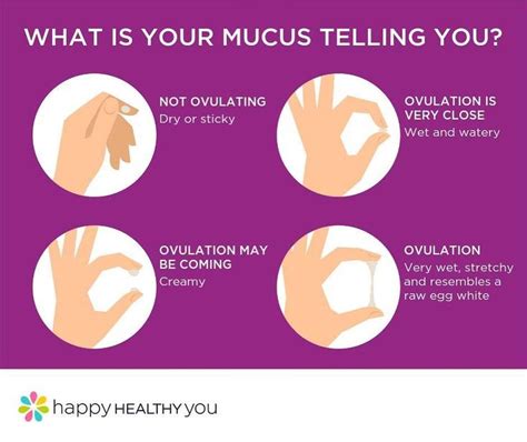 Time to get intimate. Tracking our menstrual cycle gives us a deeper understanding of not only ...