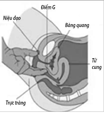 Thủ thuật làm tăng nhạy cảm "điểm G"