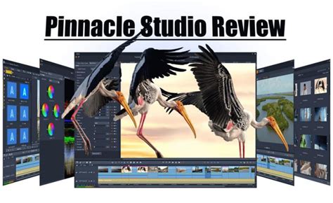 Pinnacle Studio 25 Review: How to Master Pinnacle Video Editor