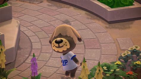 Shep appreciation post. Keep scrolling. : AnimalCrossing | Animal ...