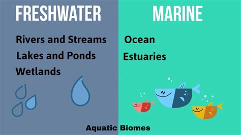 Aquatic Biomes Map