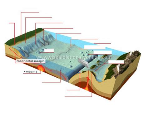 OCEAN FLOOR BATHYMETRY Quiz