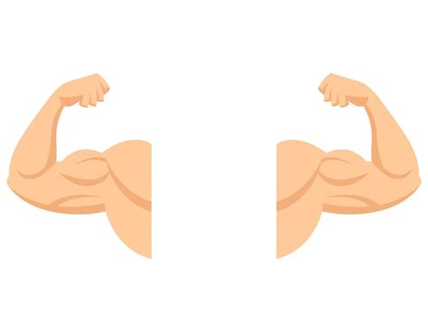 Strong arms with contracted biceps. Muscle in cartoon style. 4512467 Vector Art at Vecteezy