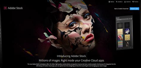 Three Licenses for your Adobe Stock Photos – Regina Photography