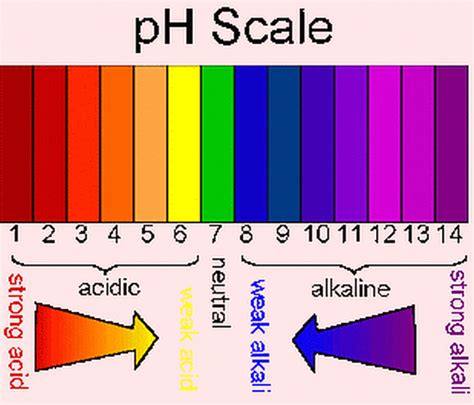 ph Litmus TEST STRIPS Full Range 1-14 acid alkaline indicator paper Saliva urine | eBay