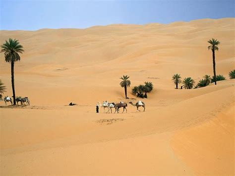 Ubari or Awbari Oasis lake Sand Sea of Fezzan, Libya | Libya, Lake ...