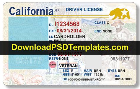 California Id Template Free