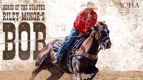 PRCA, AQHA Partner for “AQHA Horse of the Quarter” Honor - News