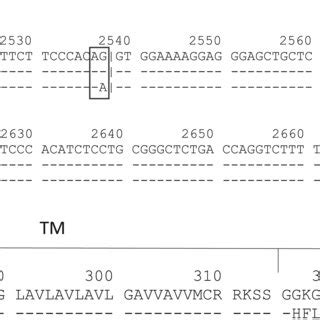 A, Partial nucleotide sequence alignment of C*01:02:01:01,... | Download Scientific Diagram