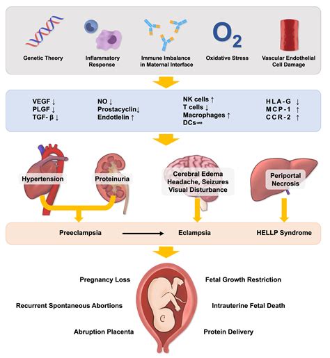 Diagnostic Biomolecules And Combination Therapy For, 43% OFF