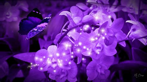 🔥 [60+] Bright Purple Wallpapers | WallpaperSafari