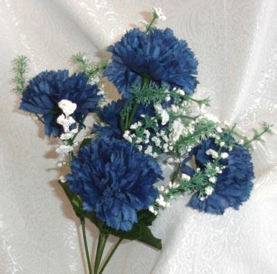 carnations - Gallery | eBaum's World