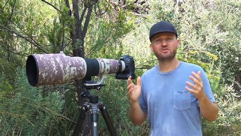 Essential Videography Tips For Wildlife Photographers | Fstoppers