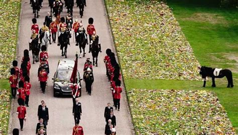 Queen Elizabeth's corgis and pony attend funeral procession