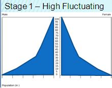 Population Pyramids