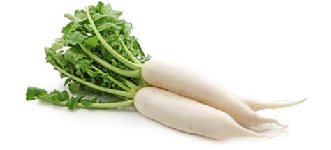 Radish (Mooli): Benefits, Uses and Side Effects | Hyzape