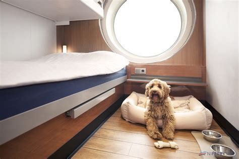 Stena Line Invests in Pet Friendly Cabins and Duty Free on North Sea ⛴️