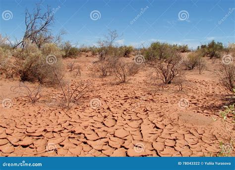 Desert Dry Soil Texture and Bushes on it Stock Photo - Image of desert, mountain: 78043322