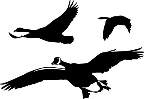 Flying Geese Silhouette at GetDrawings | Free download