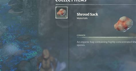 Enshrouded: How To Get Shroud Sacks