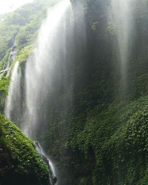 Madakaripura Waterfall | Bromo and Ijen Tours with The BROMO TOUR