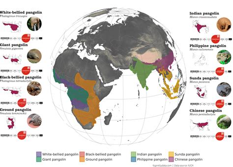 Global distribution of pangolins [OC] : dataisbeautiful