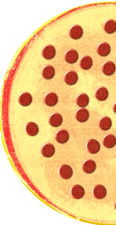 Pizza Clipart Half And Half - Half Pizza Fractions - (387x748) Png Clipart Download