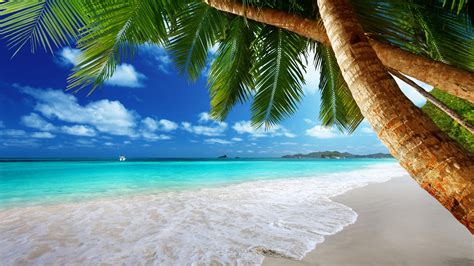 Tropical Beaches Desktop Wallpaper 4K