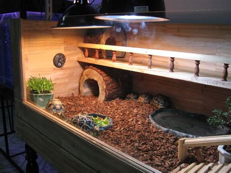 Natural-looking hedgehog vivarium | Hedgehog Central