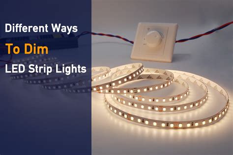 12 Volt Dimmable Led Strip Lights | Shelly Lighting