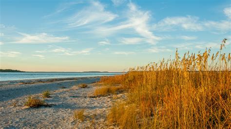 Edisto Beach – Beach Review | Condé Nast Traveler