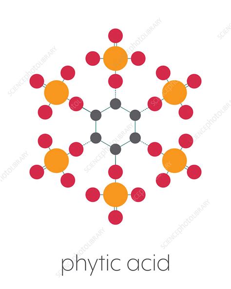 Phytic acid chemical structure, illustration - Stock Image - F027/9121 - Science Photo Library