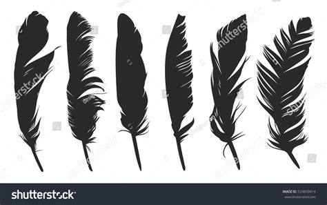 Feathers Birds Stock Vector (Royalty Free) 529859914 | Shutterstock