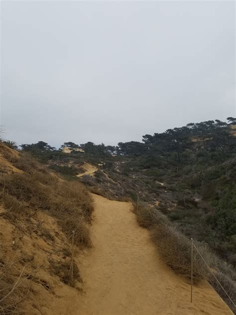 San Diego Hikes: Torrey Pines Guy Fleming Trail - Fun Diego Family