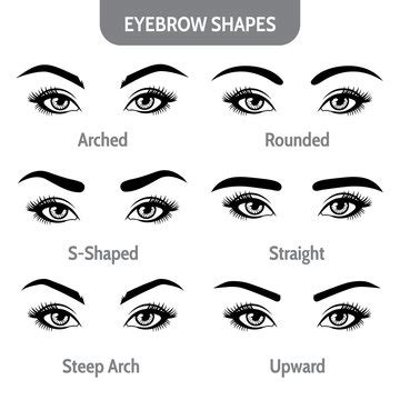 Eyebrow Shapes Drawing